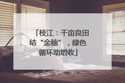 枝江：千亩良田结“金穗”，绿色循环助增收