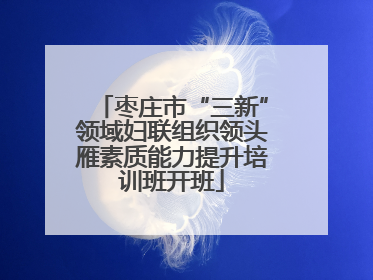 枣庄市“三新”领域妇联组织领头雁素质能力提升培训班开班