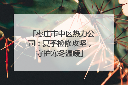 枣庄市中区热力公司：夏季检修攻坚，守护寒冬温暖