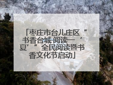枣庄市台儿庄区“书香台城·阅读一‘夏’”全民阅读暨书香文化节启动