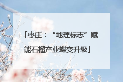 枣庄：“地理标志”赋能石榴产业蝶变升级