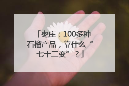 枣庄：100多种石榴产品，靠什么“七十二变”？