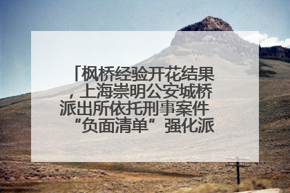 枫桥经验开花结果，上海崇明公安城桥派出所依托刑事案件“负面清单”强化派出所“主防”