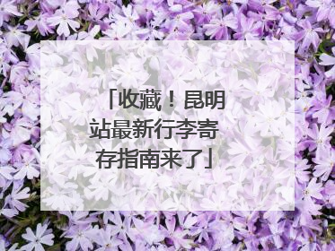 收藏！昆明站最新行李寄存指南来了
