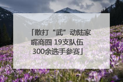 散打“武”动陆家嘴商圈 19支队伍300余选手参赛