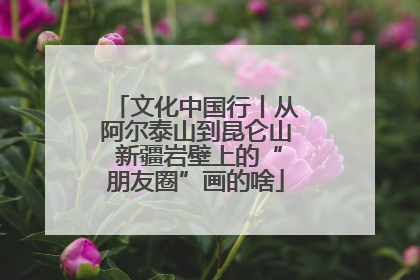 文化中国行丨从阿尔泰山到昆仑山 新疆岩壁上的“朋友圈”画的啥