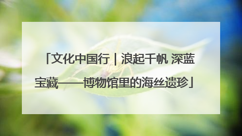 文化中国行｜浪起千帆 深蓝宝藏——博物馆里的海丝遗珍