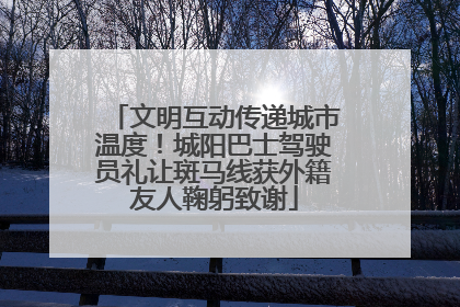 文明互动传递城市温度！城阳巴士驾驶员礼让斑马线获外籍友人鞠躬致谢