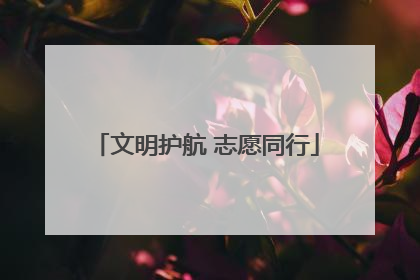 文明护航 志愿同行