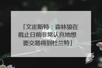 文霍斯特：森林狼在截止日前非常认真地想要交易得到杜兰特