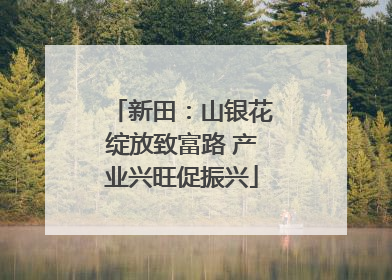 新田：山银花绽放致富路 产业兴旺促振兴