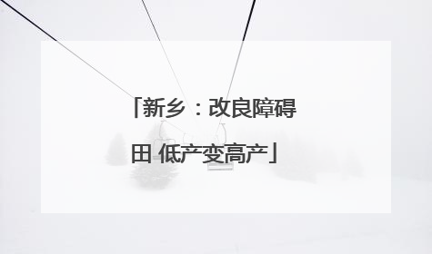 新乡：改良障碍田 低产变高产