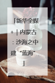 新华全媒+｜内蒙古：沙海之中建“蓝海”