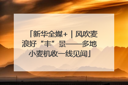新华全媒+｜风吹麦浪好“丰”景——多地小麦机收一线见闻