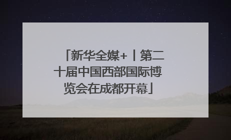 新华全媒+丨第二十届中国西部国际博览会在成都开幕