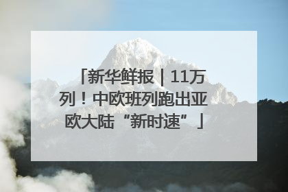 新华鲜报｜11万列！中欧班列跑出亚欧大陆“新时速”