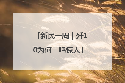 新民一周｜歼10为何一鸣惊人