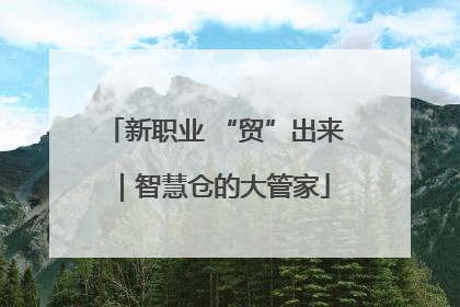 新职业 “贸”出来｜智慧仓的大管家