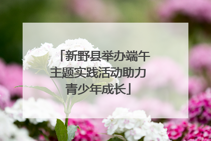 新野县举办端午主题实践活动助力青少年成长