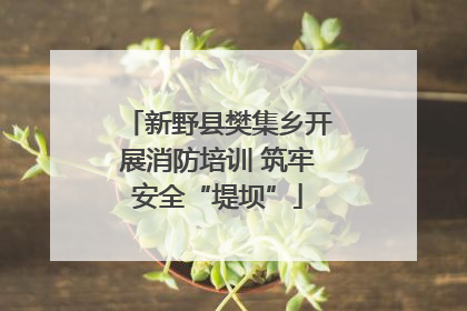 新野县樊集乡开展消防培训 筑牢安全“堤坝”