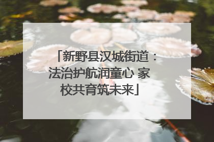 新野县汉城街道：法治护航润童心 家校共育筑未来