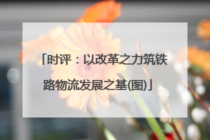 时评：以改革之力筑铁路物流发展之基(图)