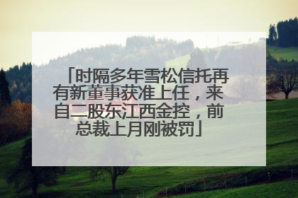 时隔多年雪松信托再有新董事获准上任，来自二股东江西金控，前总裁上月刚被罚