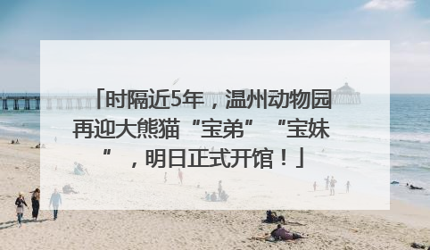 时隔近5年，温州动物园再迎大熊猫“宝弟”“宝妹”，明日正式开馆！