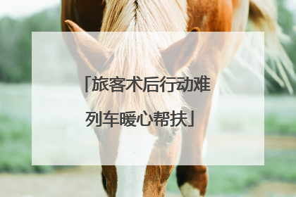 旅客术后行动难 列车暖心帮扶