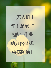 无人机上阵！龙泉“飞防”作业助力松材线虫病防治