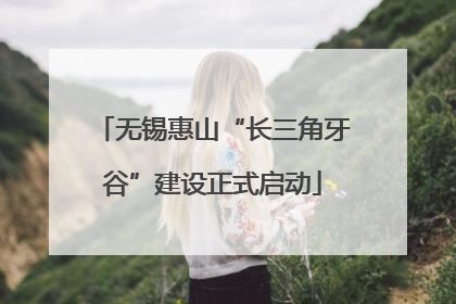 无锡惠山“长三角牙谷”建设正式启动