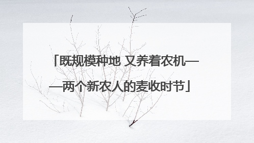 既规模种地 又养着农机——两个新农人的麦收时节