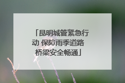 昆明城管紧急行动 保障雨季道路桥梁安全畅通