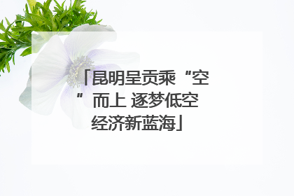 昆明呈贡乘“空”而上 逐梦低空经济新蓝海