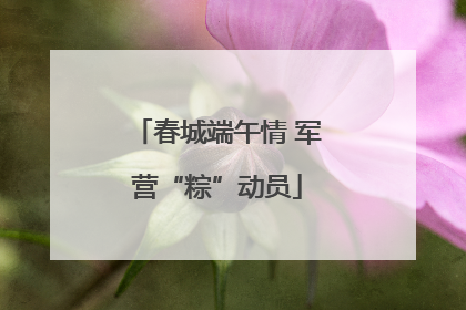 春城端午情 军营“粽”动员