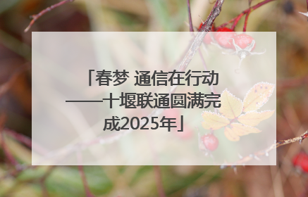 春梦 通信在行动——十堰联通圆满完成2025年