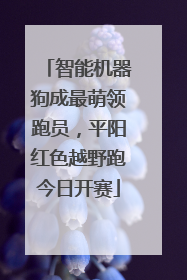 智能机器狗成最萌领跑员，平阳红色越野跑今日开赛