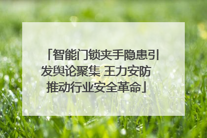 智能门锁夹手隐患引发舆论聚集 王力安防推动行业安全革命