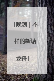 晚潮｜不一样的新塘龙舟