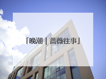晚潮｜蔷薇往事