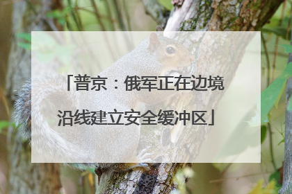 普京：俄军正在边境沿线建立安全缓冲区