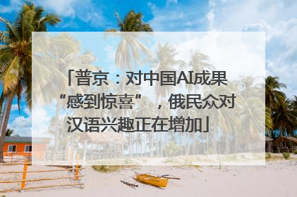 普京：对中国AI成果“感到惊喜”，俄民众对汉语兴趣正在增加