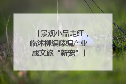 景观小品走红，临沭柳编藤编产业成文旅“新宠”