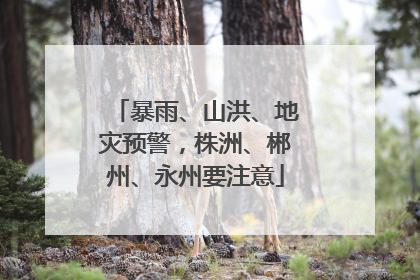 暴雨、山洪、地灾预警，株洲、郴州、永州要注意