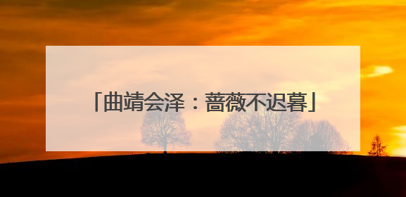 曲靖会泽：蔷薇不迟暮