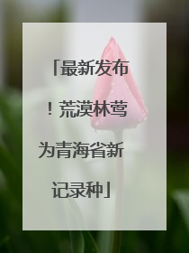 最新发布！荒漠林莺为青海省新记录种
