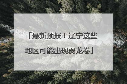 最新预报！辽宁这些地区可能出现弱龙卷