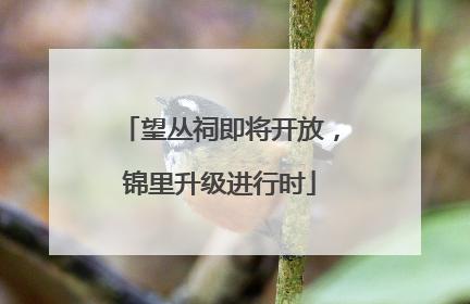 望丛祠即将开放，锦里升级进行时