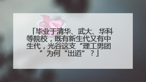 毕业于清华、武大、华科等院校，既有新生代又有中生代，光谷这支“理工男团”为何“出道”？