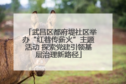 武昌区都府堤社区举办“红巷传薪火”主题活动 探索党建引领基层治理新路径